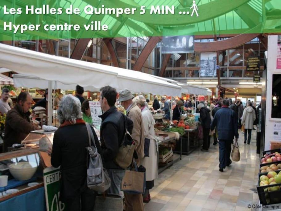 Oo Le Jardin Oo Paisible Studio Equipe Et Bien Place Quimper Exteriör bild