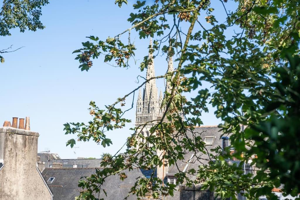 Oo Le Jardin Oo Paisible Studio Equipe Et Bien Place Quimper Exteriör bild